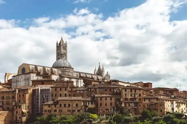 Proposta di legge sugli equini in Toscana